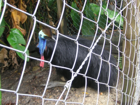 s_A_PICT0076.jpg